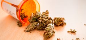 marijuana used for medicinal purposes