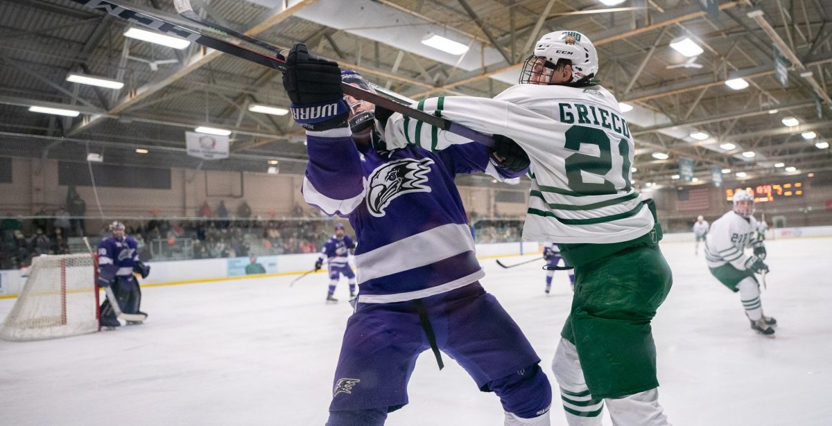 Slow Start, Hot Goaltending Stall Bobcats Against Stony Brook - Vimarsana News