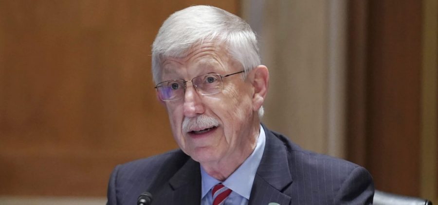 Former NIH Director Dr. Francis Collins speaks in a hearing