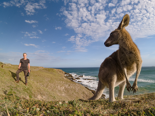 Man with camera behind kangaroo looking over shoulder