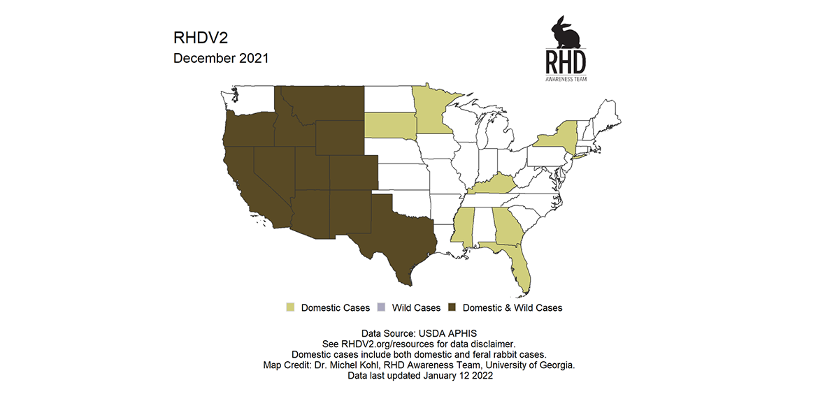 RHDV-2: New virus outbreak threatens US rabbit population