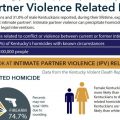 A screenshot from The Kentucky Violent Death Reporting System website shows various data points on partner violence related homicides