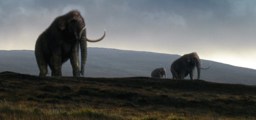 Three mammoths walking across plains area