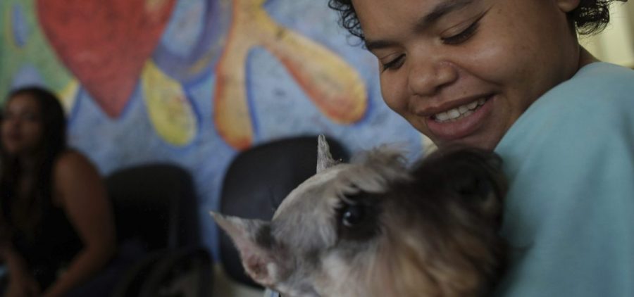 Jaqueline Castro, a 27-year-old being treated for a degenerative disease, plays with Schnauzer dog named Paola at the Support Hospital of Brasilia, Brazil.