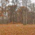 Some of the Hopewell Mounds in the fall with leaves falling off trees around them