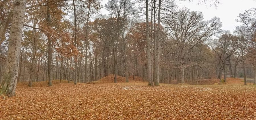 Some of the Hopewell Mounds in the fall with leaves falling off trees around them