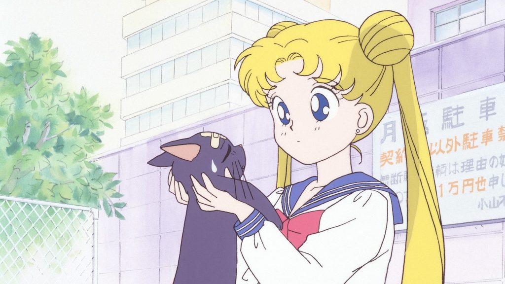 14-year-old schoolgirl Usagi Tsukino happens upon Luna, a magical talking cat, who tasks Usagi with becoming Sailor Moon and protecting the world from evil forces.