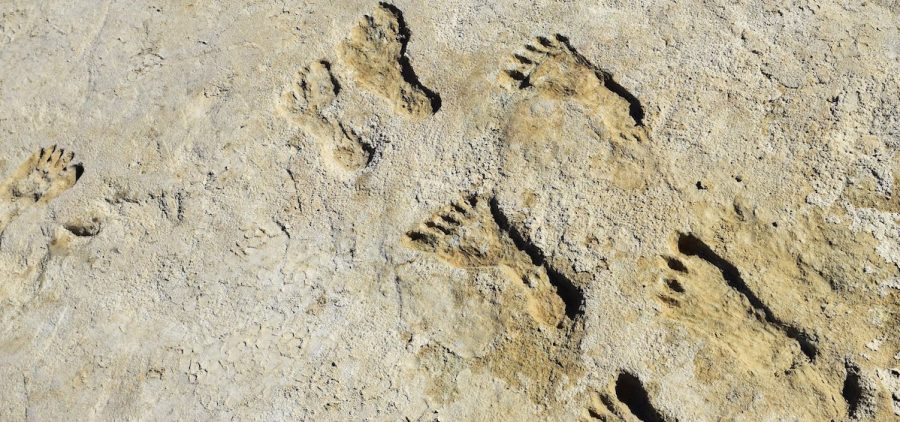 group of ancient feetprints
