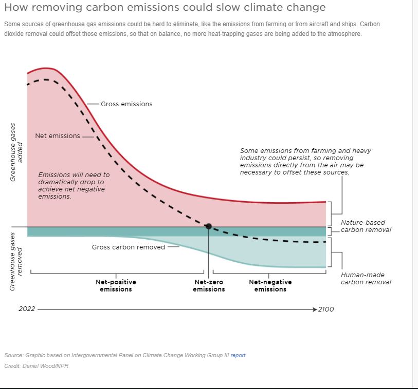 A graph shows How removing carbon emissions could slow climate change