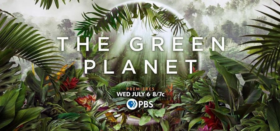 "Greeen Planet" title over jungle footage of flowers and trees
