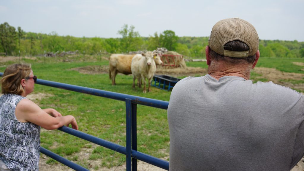 Kelly and Andrew Diestch look out at some of the beefalo they are raising on their 650-acre farm.
