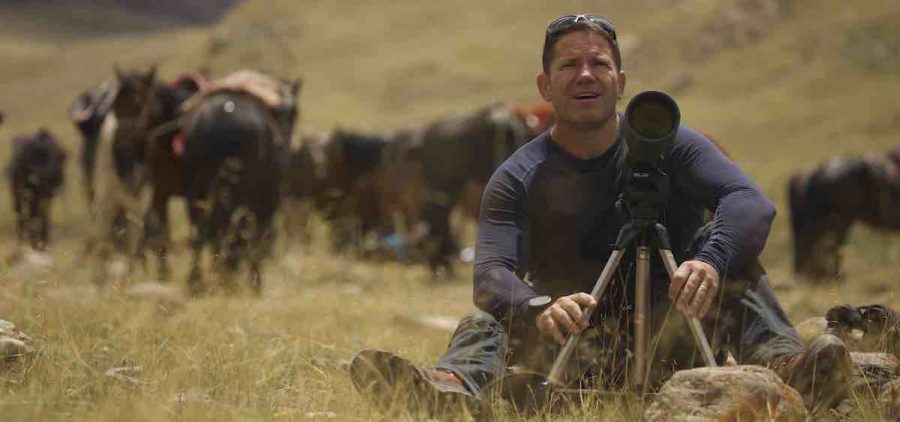 STEVE BACKSHALL sitting in prairie grass with long lens camera. Pack mules behind him