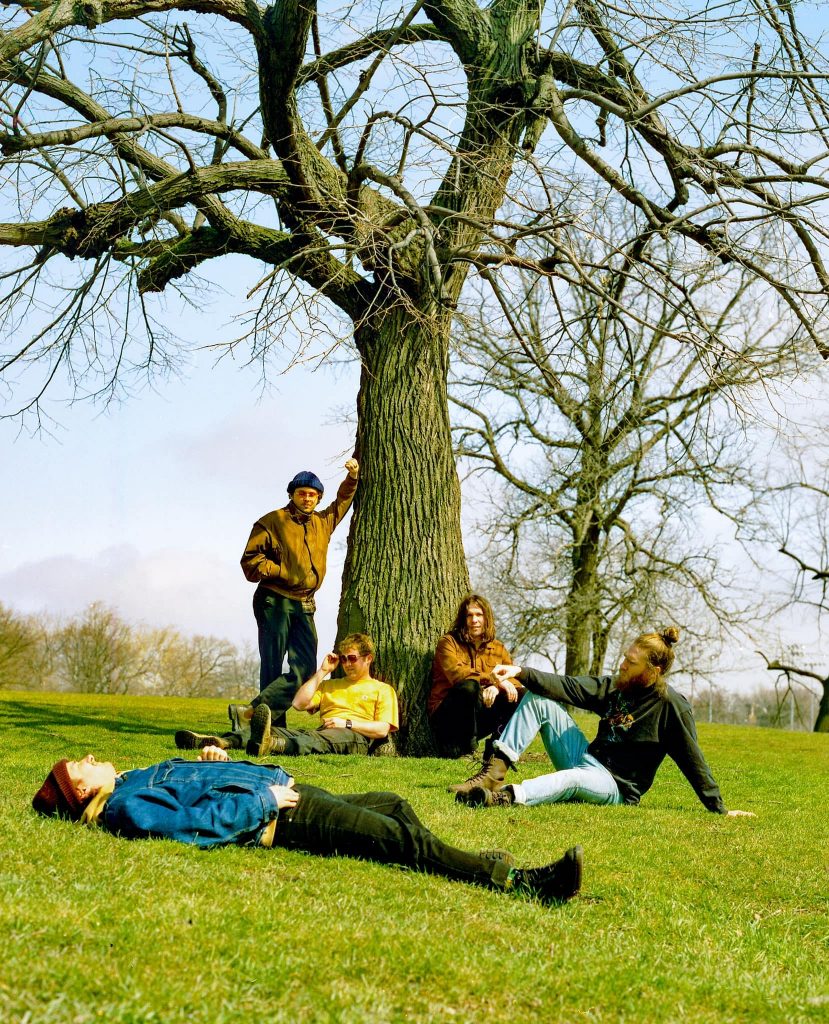 A promotional image for the band In the Pines. In the image, four male-presenting people are laying in a field underneath a barren tree with a blue sky above.