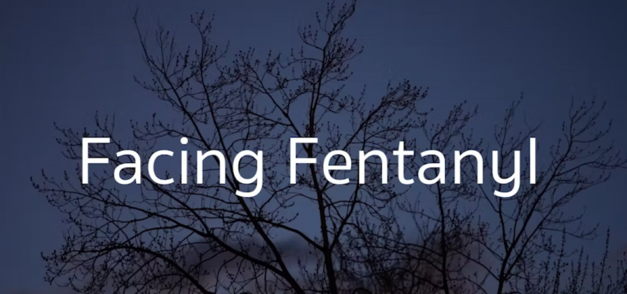 The opening title screen for the documentary "Facing Fentanyl." It has the text of the title of the film in white letters against a background of dark, bare trees.
