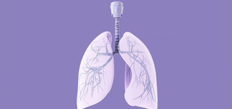 A illustration of the lungs and diaphragm