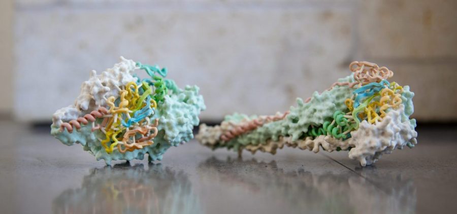 3D printed model of a pre-fusion and post-fusion form of protein from the RSV virus
