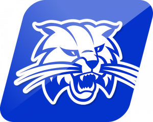 Cambridge Bobcats logo