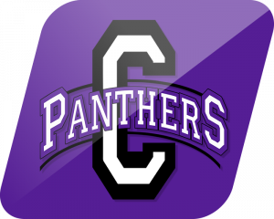 Chesapeake Panthers logo