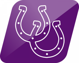 Martins Ferry Purple Riders logo