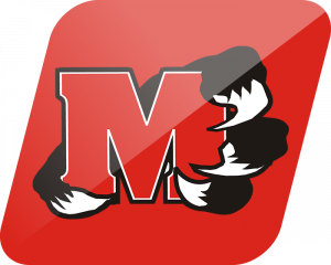 Minford Falcons logo