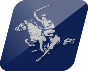 Morgan Raiders logo