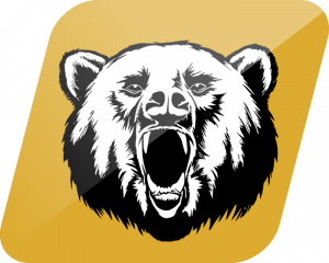 River View Black Bears logo