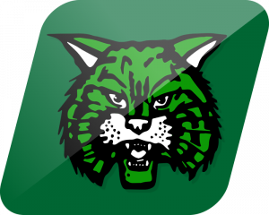 Waterford Wildcats logo