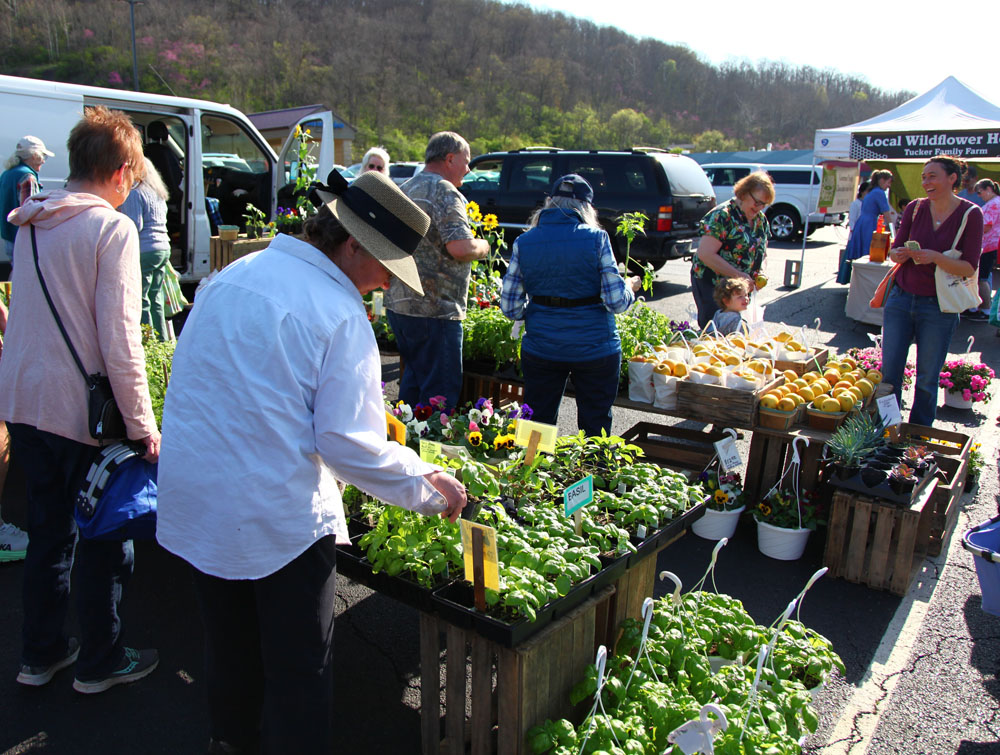 An image of people shopping at the Athens Farmer's Market, multiple people looking through fresh produce in an outside market setting.