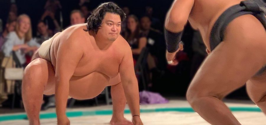 Sumo wrestlers in competition