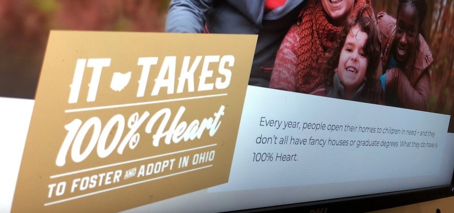 A screenshot for a website that encourages adoption in Ohio