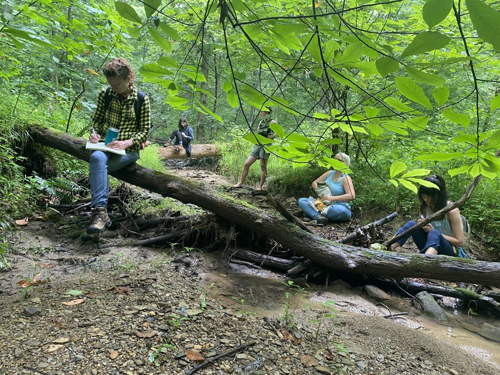 An image of several people in the woods, sitting on downed trees and writing.