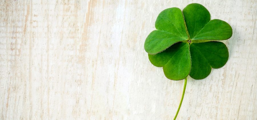 A four leaf clover sits picked on a white wood table