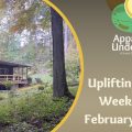 A cropped image of the flyer for Appalachian Understudies' Uplifting Diversity weekend. The flyer has a picture of a cabin in the woods on it.