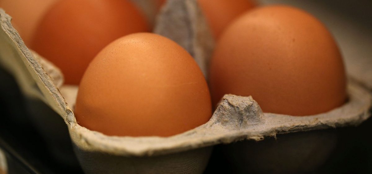 Egg prices drop but avian flu threat isn't over yet - Vimarsana News