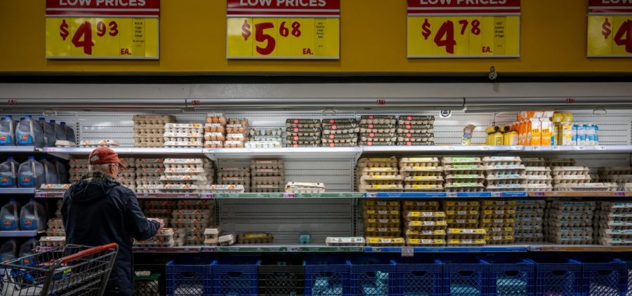 A customer shops for eggs at a H-E-B grocery store on February 08, 2023 in Austin, Texas.