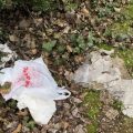 A plastic bag is in a yard with leaves and grass