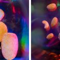 Potato chips and salted nuts on a psychedelic background.