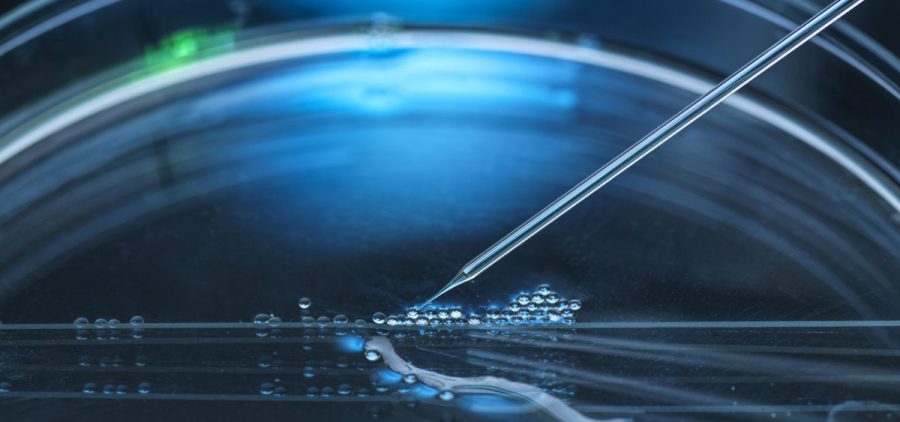 A tiny dropper puts liquid on a glass petri dish