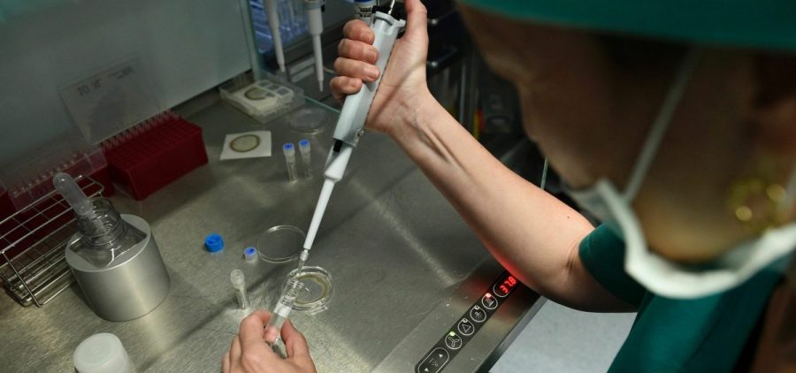A doctor stands with a long needle-like device preparing for in vitrio fertilization.