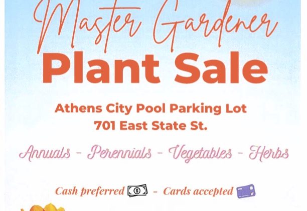A flyer for the Master Gardener Sale scheduled for 9 a.m. to 12 p.m. May 13 in the Athens City Pool Parking Lot. Annuals, perennials, vegetables, and herbs will be available. Cash preferred, cards accepted. The flyer has clipart of tulips on the bottom and the text is above the tulips.