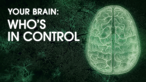 Title "Your Brain: Who's in Control" next to MRI image of brain