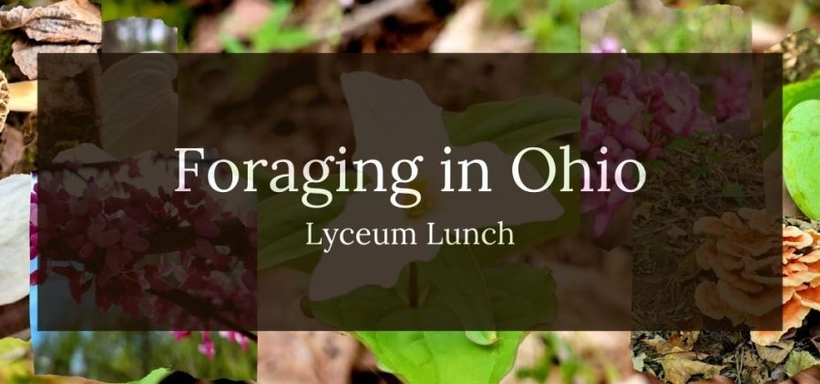 An image of the forest floor with green and brown leaves with the text "Foraging in Ohio" in white text.