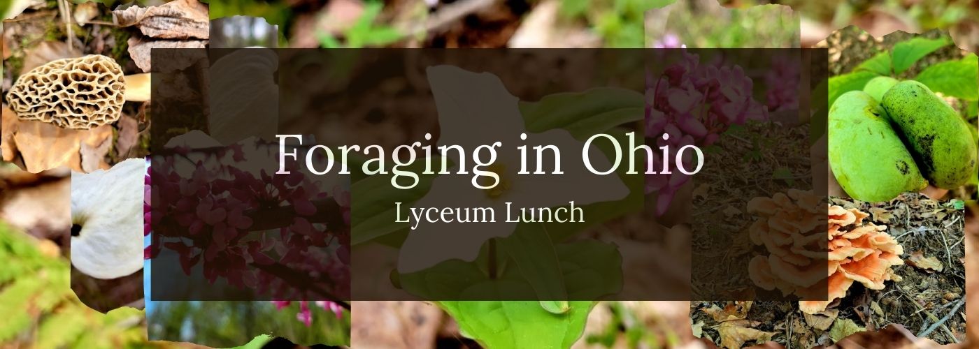 An image of the forest floor with green and brown leaves with the text "Foraging in Ohio" in white text.