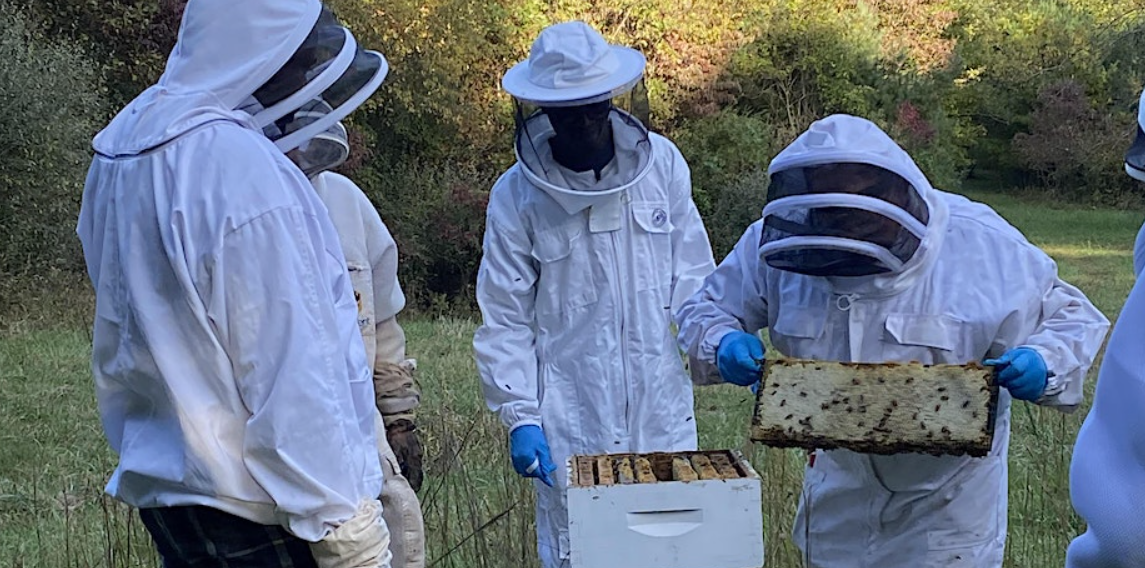 An image of three people outdoors with suits on to protect them from bees.