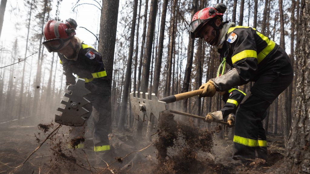 Two firefighters in a forest in Quebec.