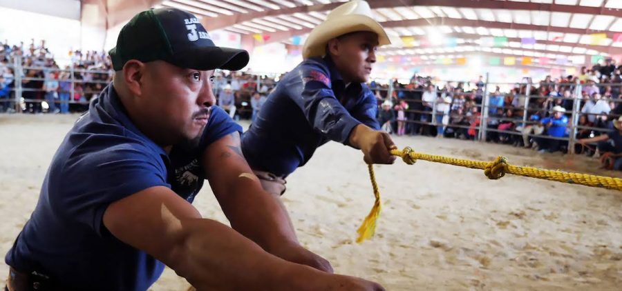 Tacho and Alan tug on two large ropes in the center of a sand-covered rodeo with determined looks on their faces as a blurred crowd looks on from behind a fence.