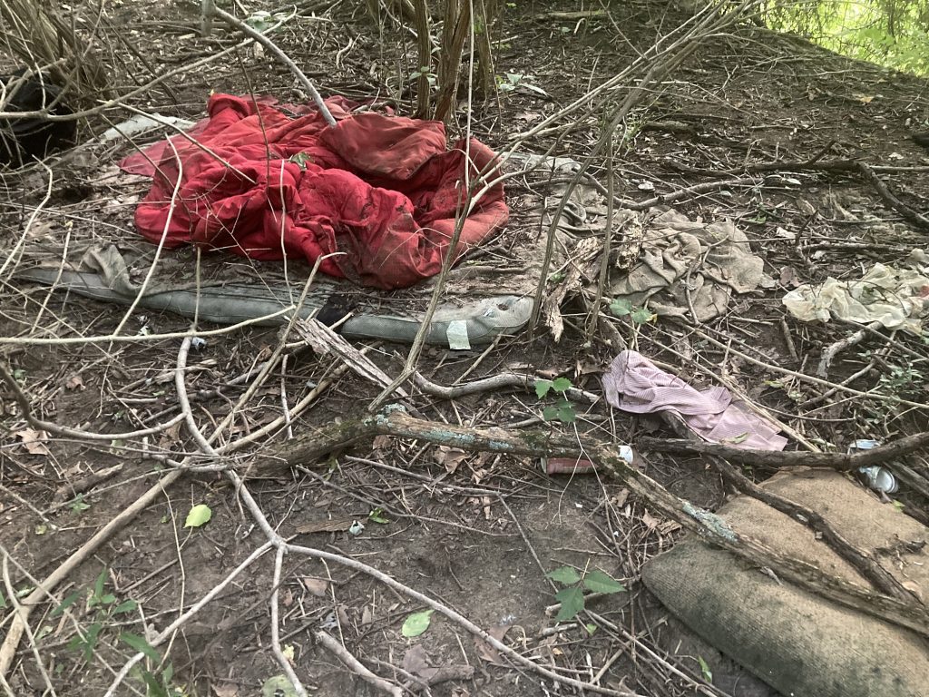 An old mattress with a crumpled red quilt sit abandoned in an overgrown clearing.