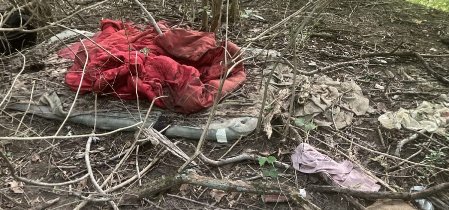 An old mattress with a crumpled red quilt sit abandoned in an overgrown clearing.