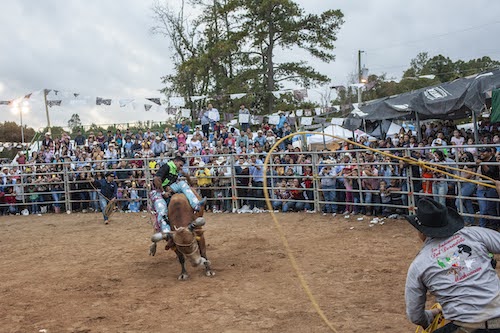 A person struggles to sit on a bull while two people in cowboy hats stand on either side of the bull, swinging lassos. They are located inside a dirt-covered ring as a crowd looks on from outside a fence.