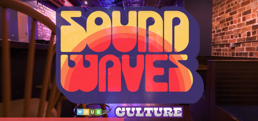 Soundwaves logo